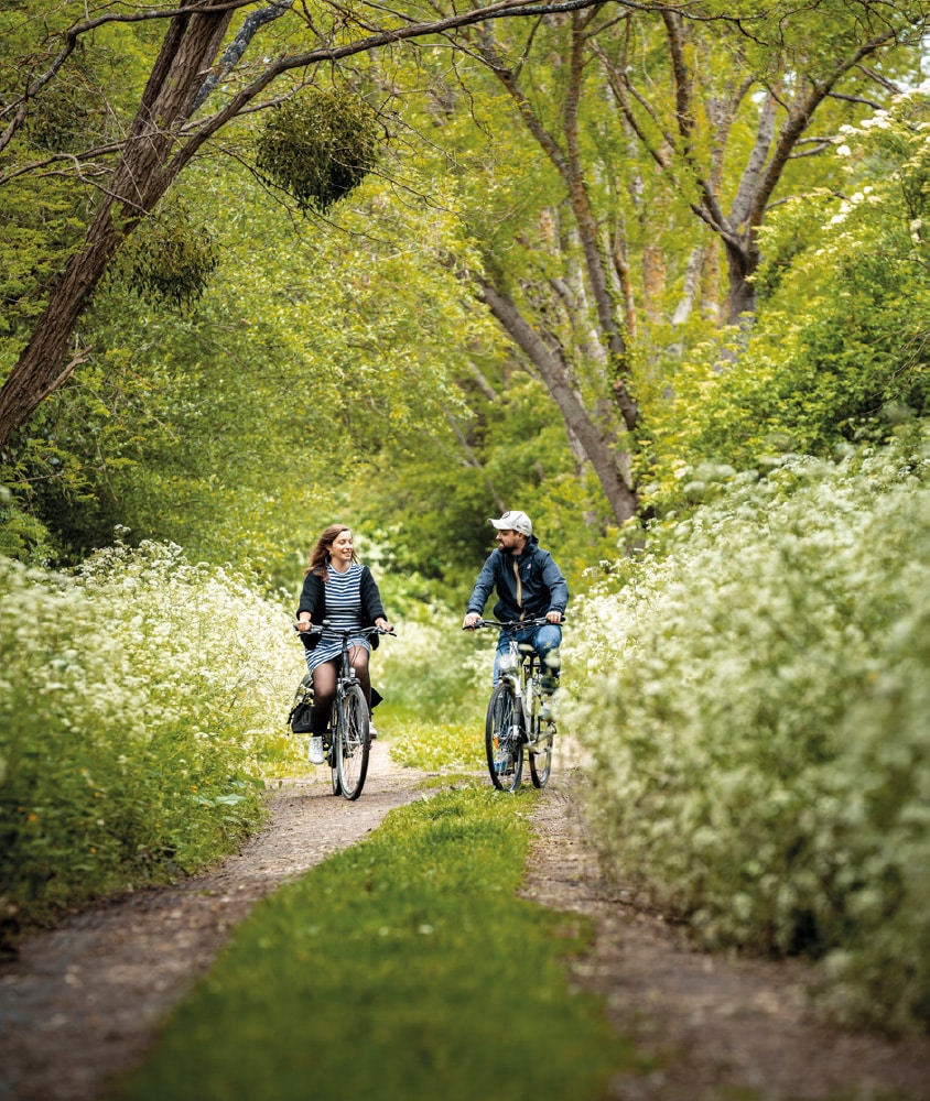 Le festival à vélo