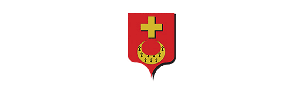 logo-vay